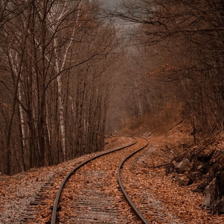 Winding train tracks through a forest