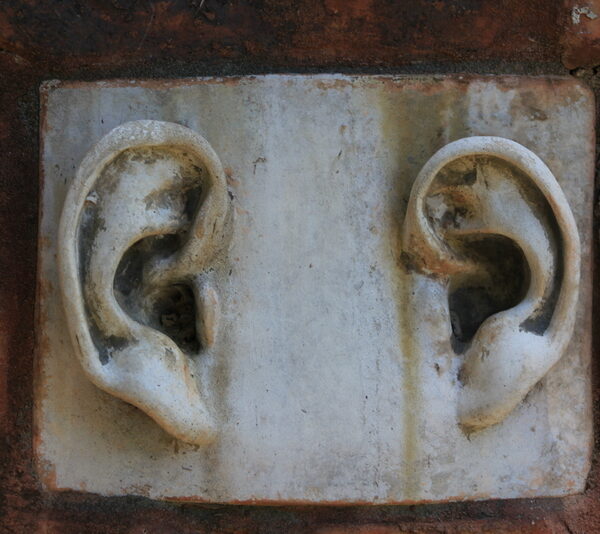 A piece of wall pottery of two ears