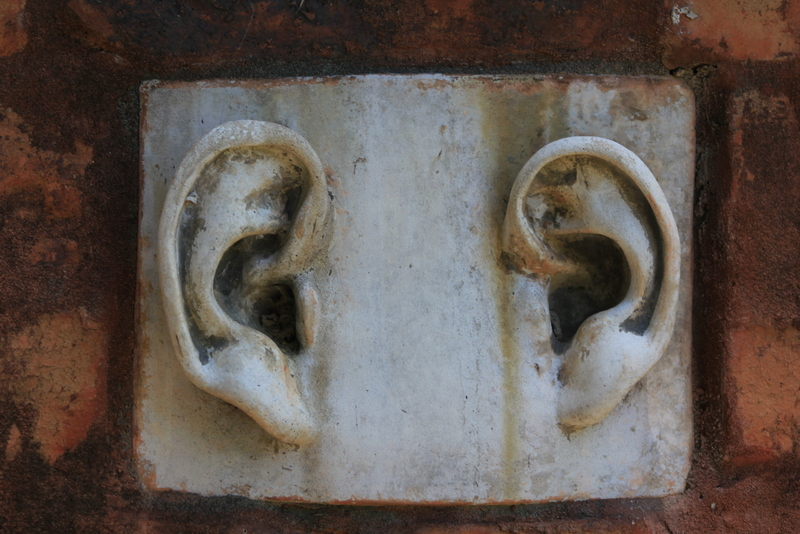 A piece of wall pottery of two ears